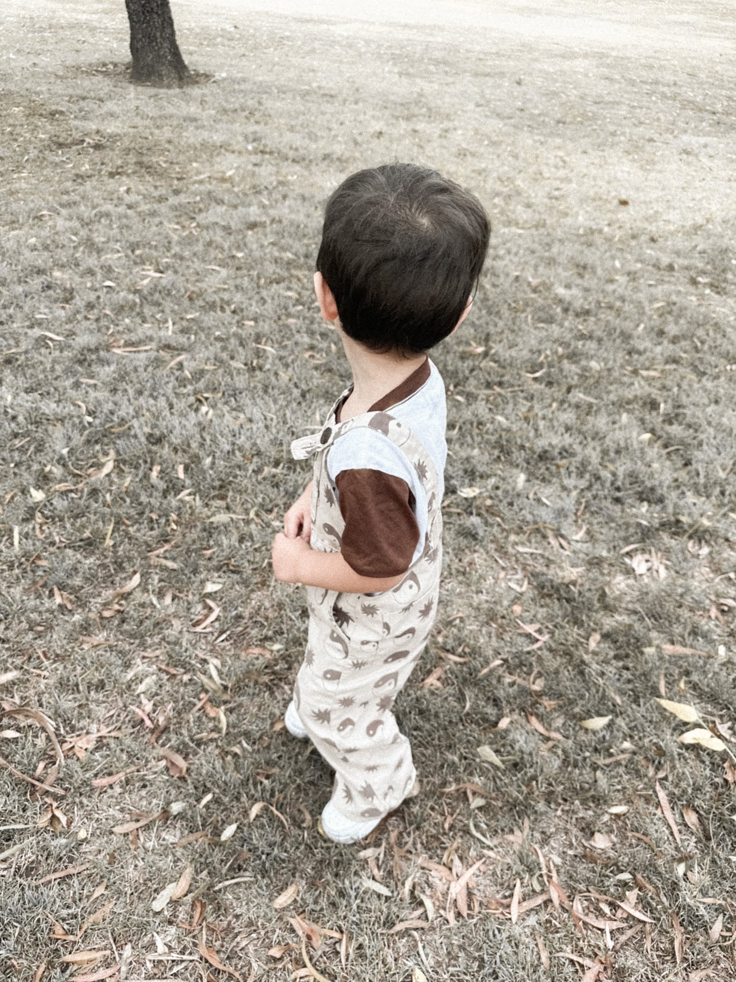 Yin Yang Overalls