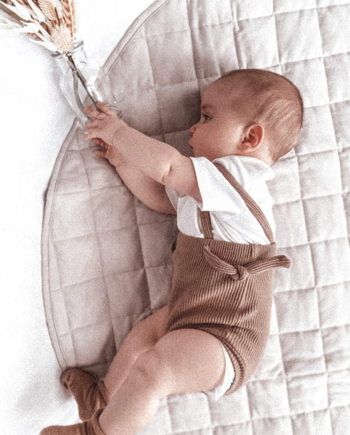 Aayan Bloomers